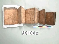 藏品(樹皮文字書冊)的圖片